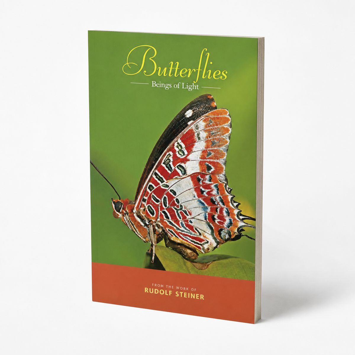 Butterflies: Beings of Light — accurate 88-page thin paperback three-quarter view