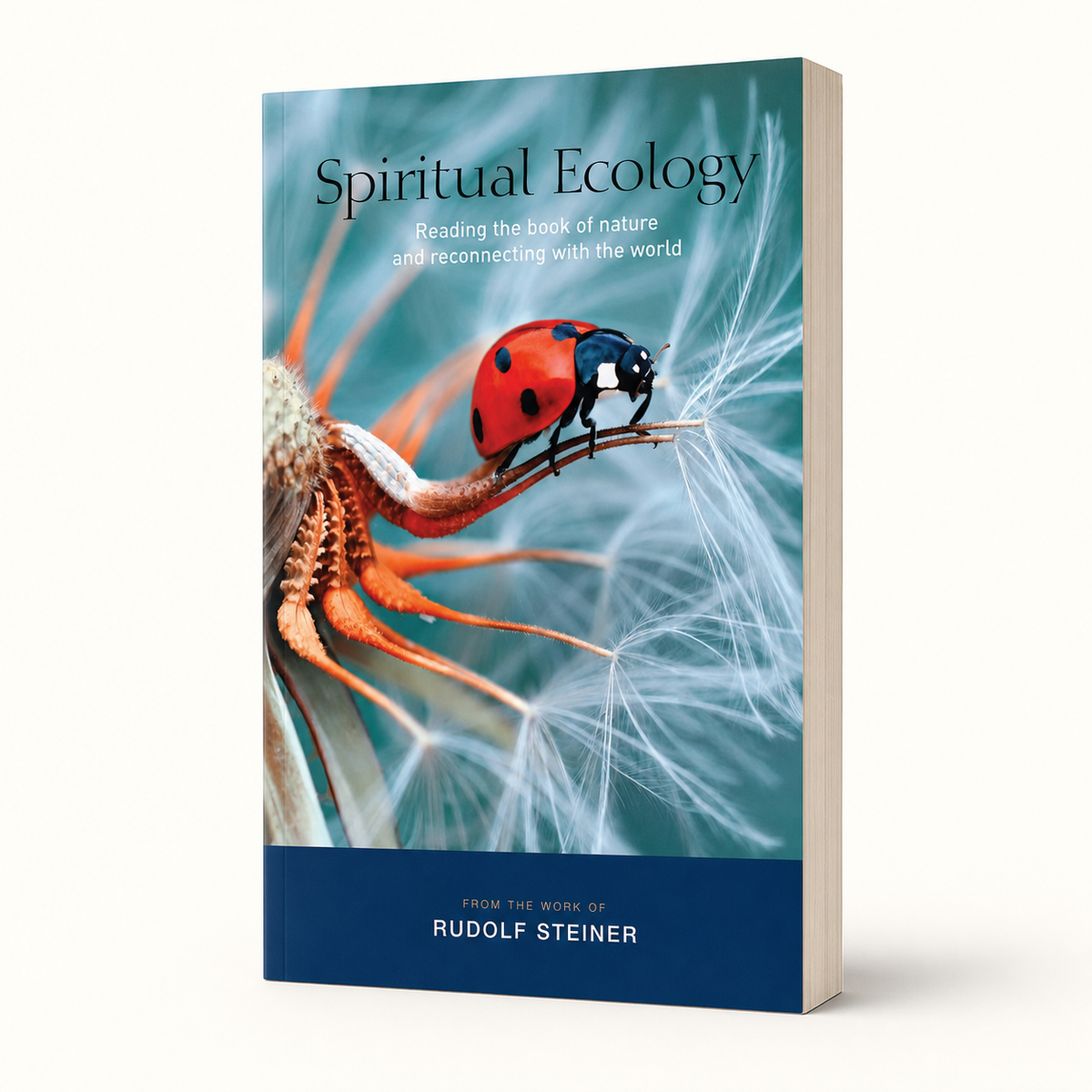 Spiritual Ecology — accurate 256-page paperback three-quarter view