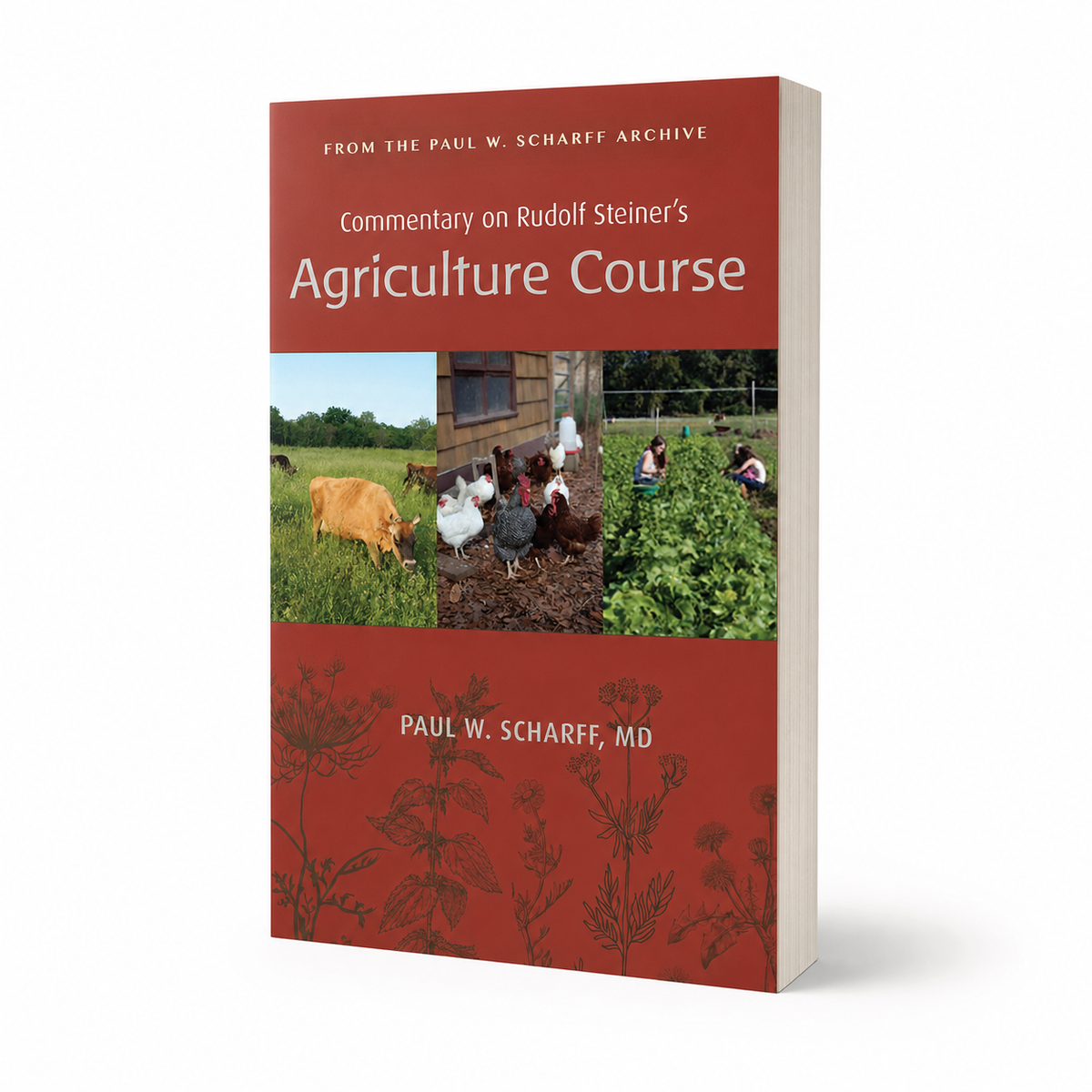 Commentary on Rudolf Steiner’s Agriculture Course — accurate 266-page paperback three-quarter view