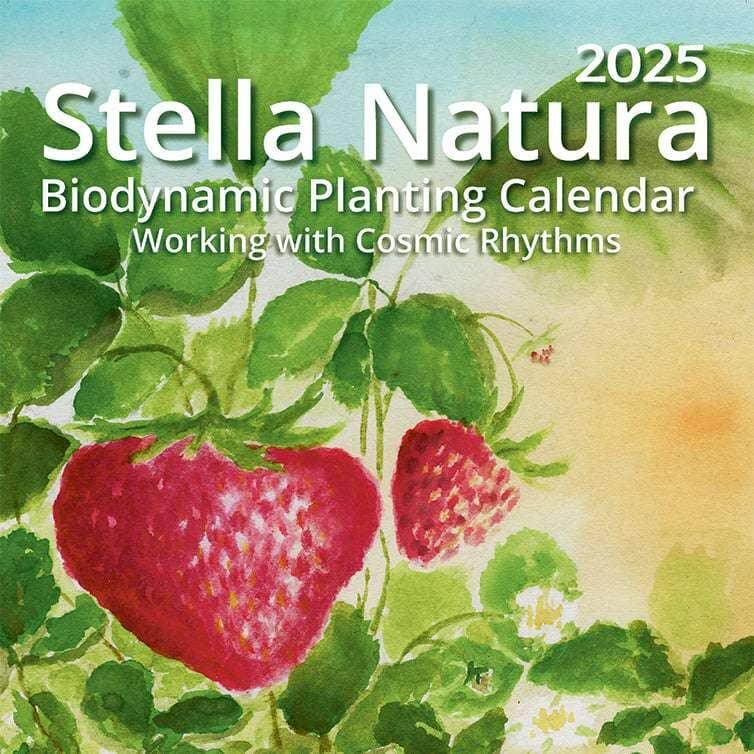 Stella Natura Biodynamic Planting Calendar - The Josephine Porter Institute