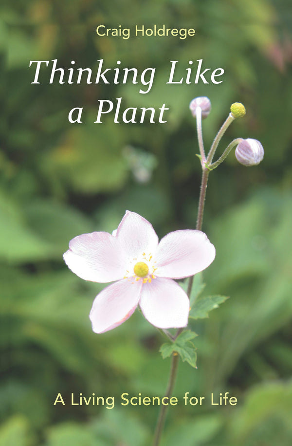 Thinking Like a Plant: A Living Science for Life by Craig Holdrege
