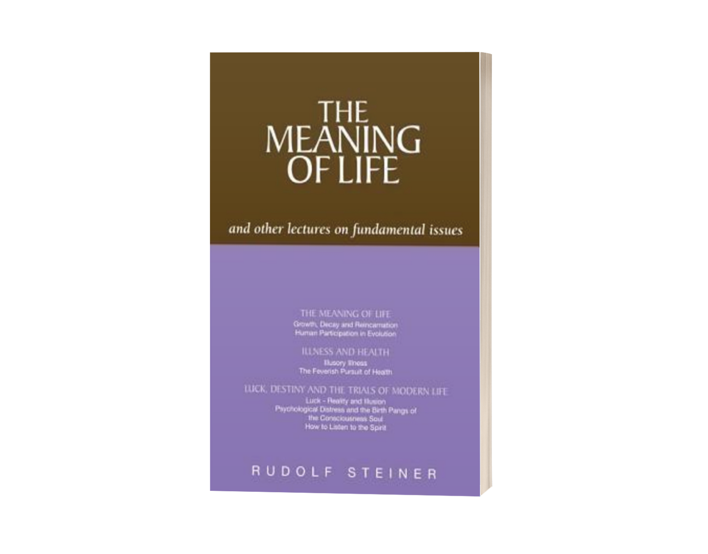 The Meaning of Life: And Other Lectures on Fundamental Issues by Rudolf Steiner