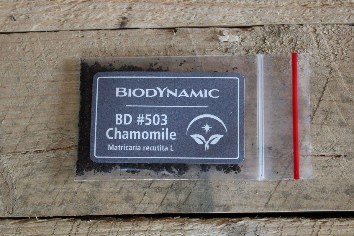 Biodynamic® Chamomile Preparation - Matricaria chamomilla - (BD 503) BD Compost Preparation - The Josephine Porter Institute
