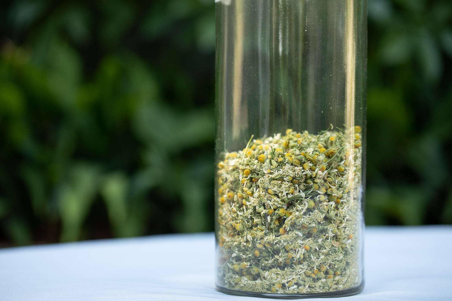 Biodynamic Chamomile Preparation - Matricaria chamomilla - (BD 503) BD Compost Preparation - The Josephine Porter Institute