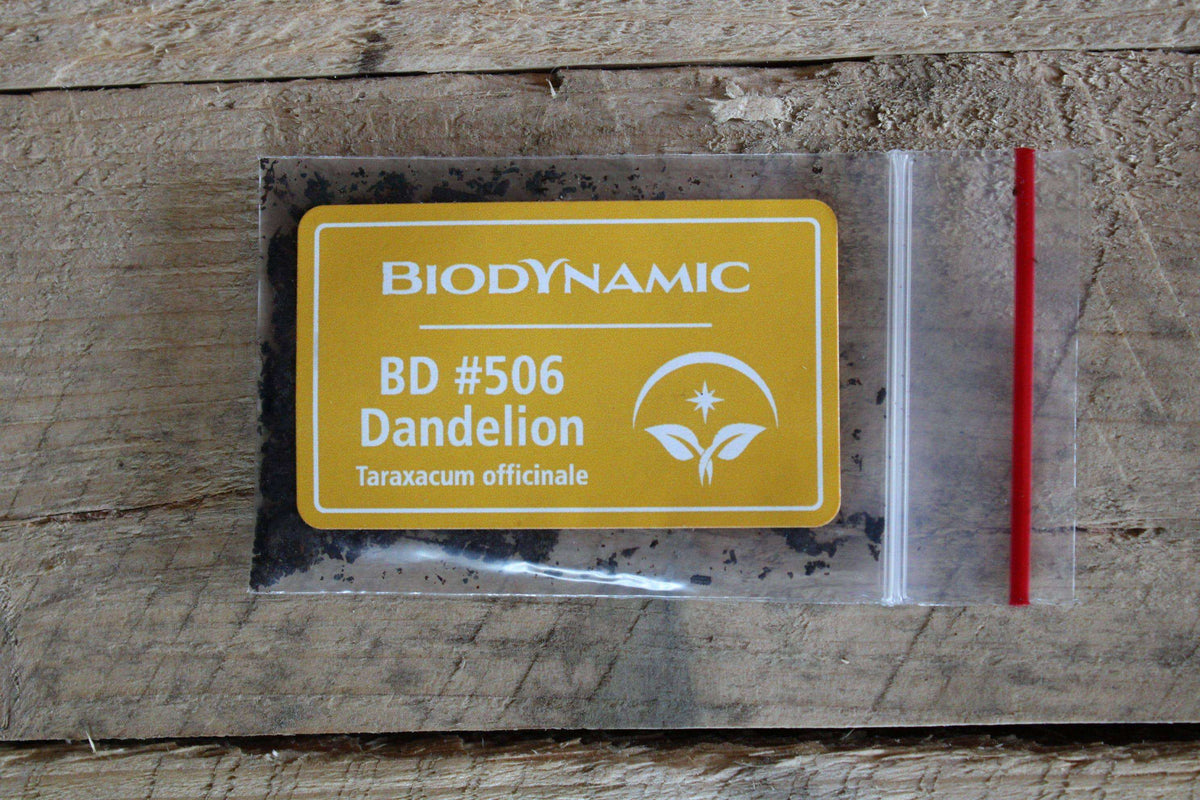 Biodynamic® Dandelion Preparation – Taraxacum officinale – BD 506 Compost Preparation - The Josephine Porter Institute