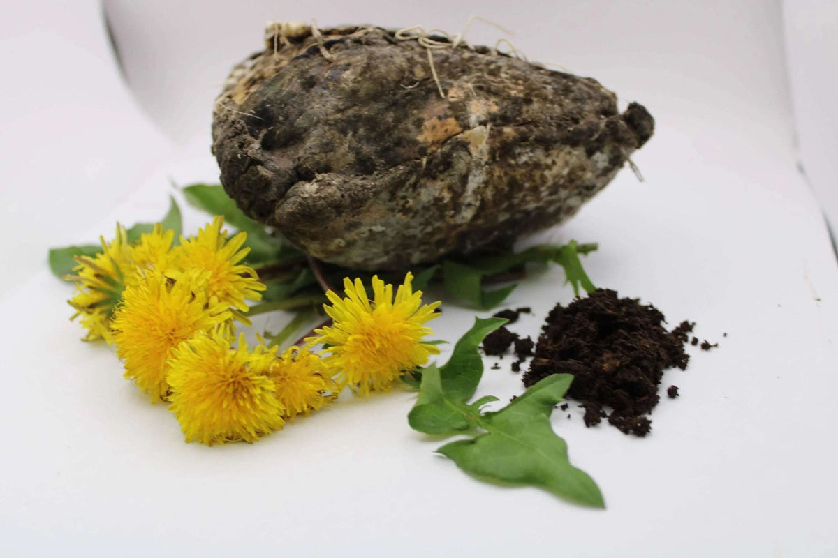 Biodynamic® Dandelion Preparation – Taraxacum officinale – BD 506 Compost Preparation - The Josephine Porter Institute