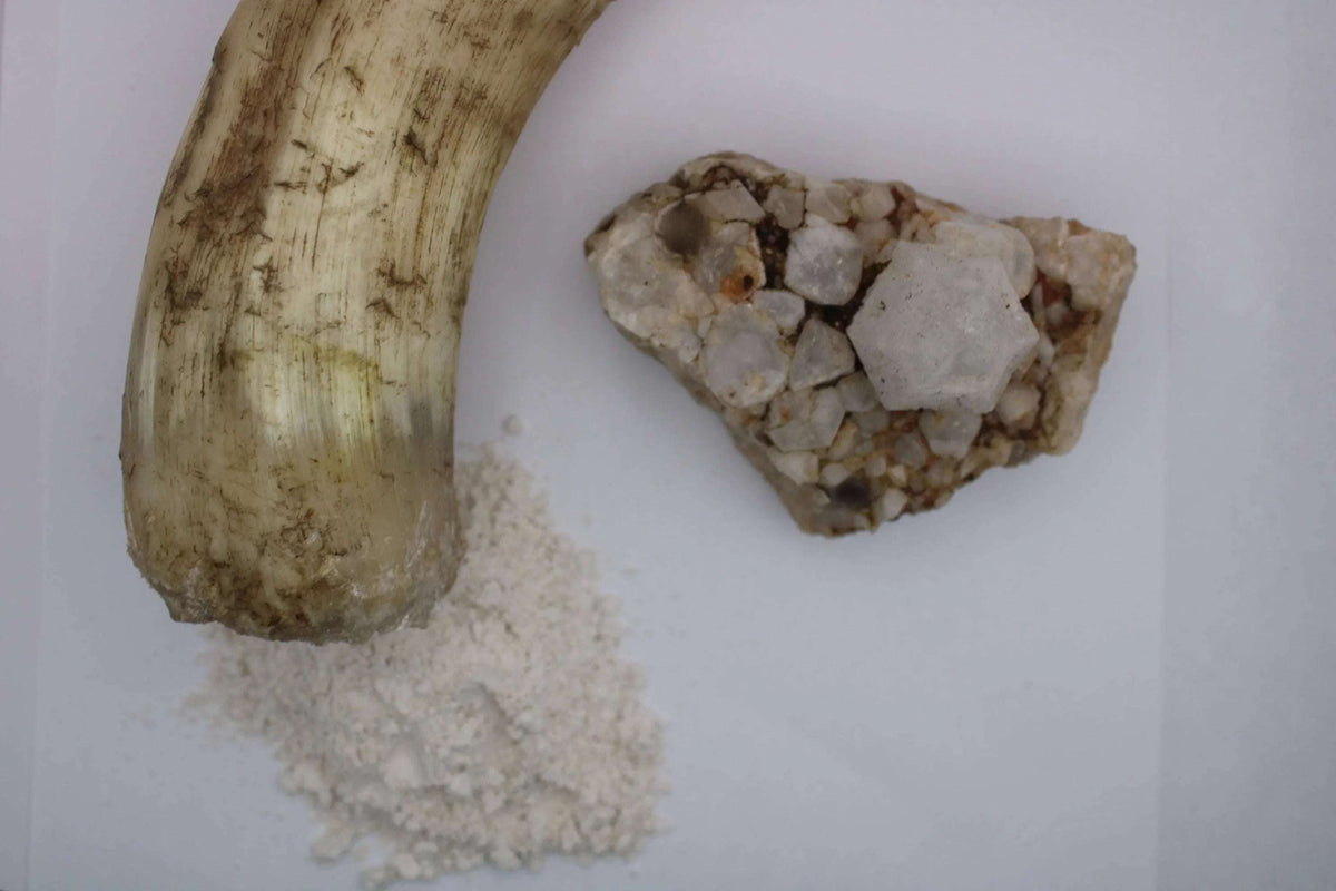 Biodynamic® Horn Silica Preparation (BD #501) BD Spray Preparation - The Josephine Porter Institute