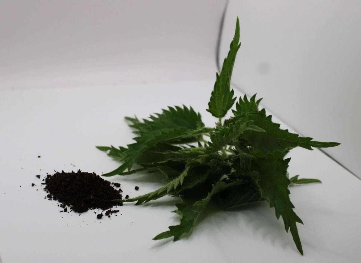 Biodynamic® Stinging Nettle Preparation – Urtica dioica – BD 504 BD Compost Preparation - The Josephine Porter Institute