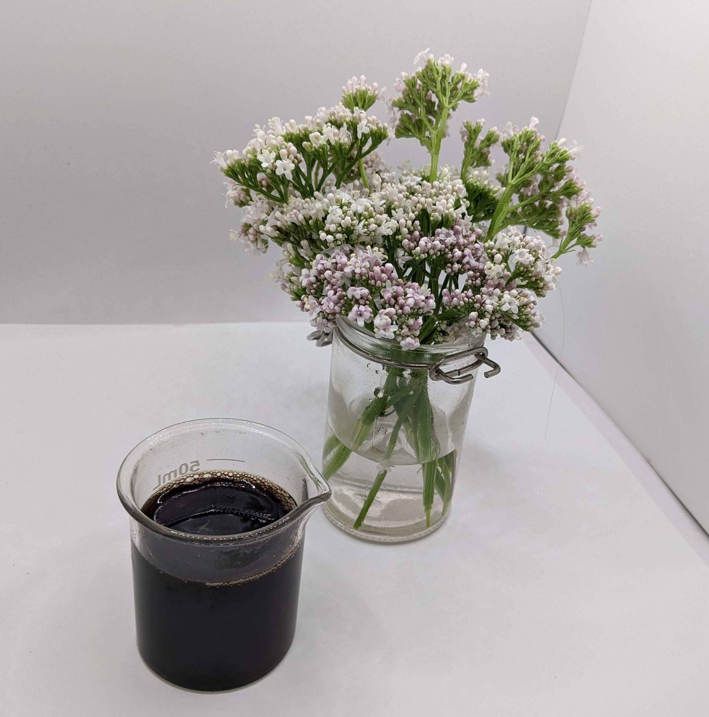 Biodynamic® Valerian Preparation - Valeriana officinalis - (BD 507) BD Compost Preparation - Soil Accelerant & Frost Protection - The Josephine Porter Institute