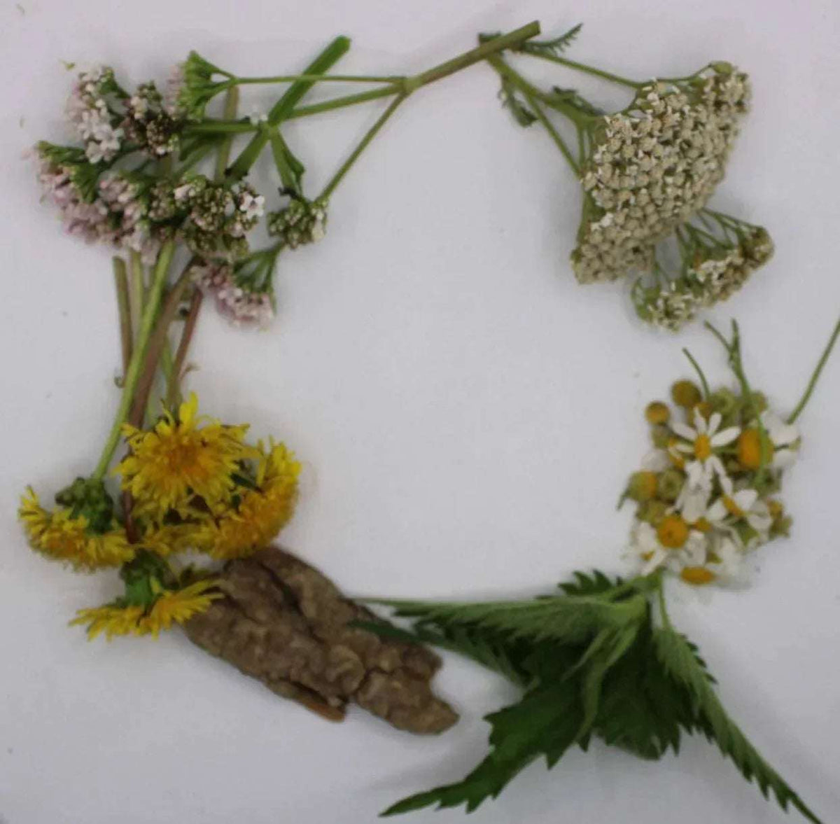 Complete Set of Biodynamic® Compost Preparations (BD #502–507) - The Josephine Porter Institute