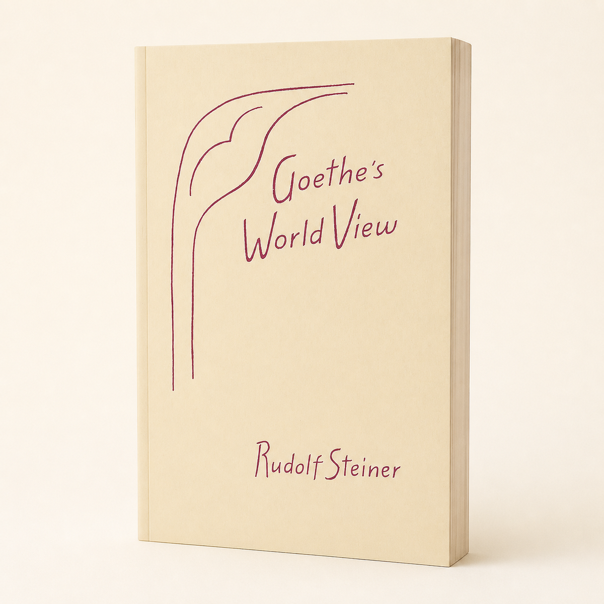 Goethe's World View paperback, three-quarter front view