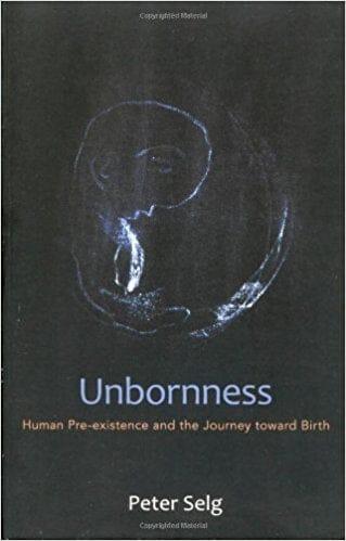 Unborness: Human Pre-Existence and the Journey Toward Birth by Peter Selg - The Josephine Porter Institute