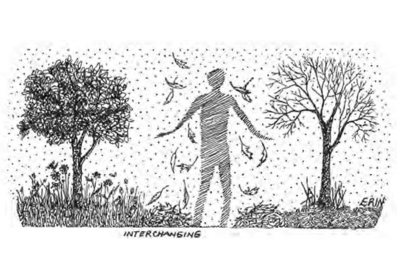 Featured archival image for Applied Biodynamics — Issue 006 (Winter 1993)