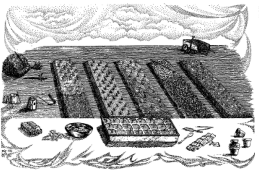 Featured archival image for Applied Biodynamics — Issue 007 (Spring 1994)