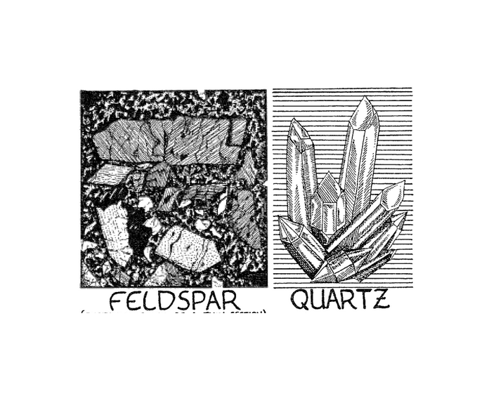 Featured archival image for Applied Biodynamics — Issue 012 (Summer 1995)