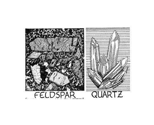 Featured archival image for Applied Biodynamics — Issue 012 (Summer 1995)