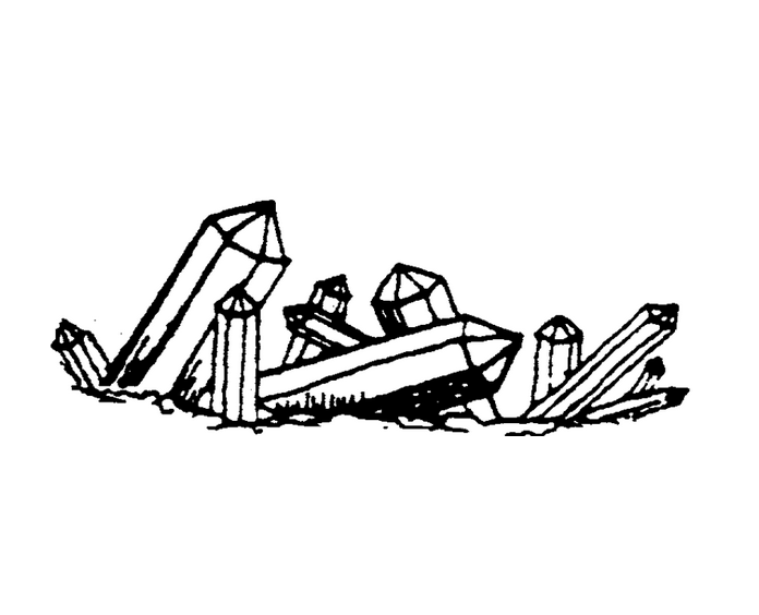 Applied Biodynamics — Issue 026 (Spring 1999)