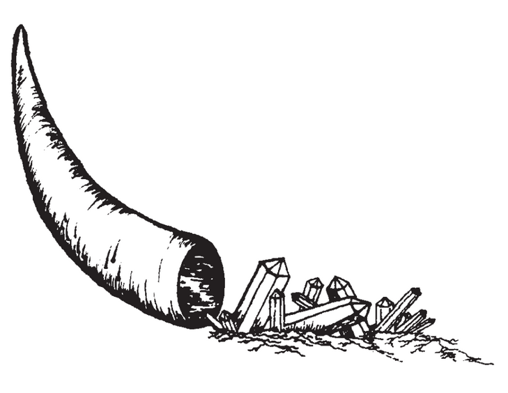 Featured archival image for Applied Biodynamics — Issue 028 (Winter 1999–2000)