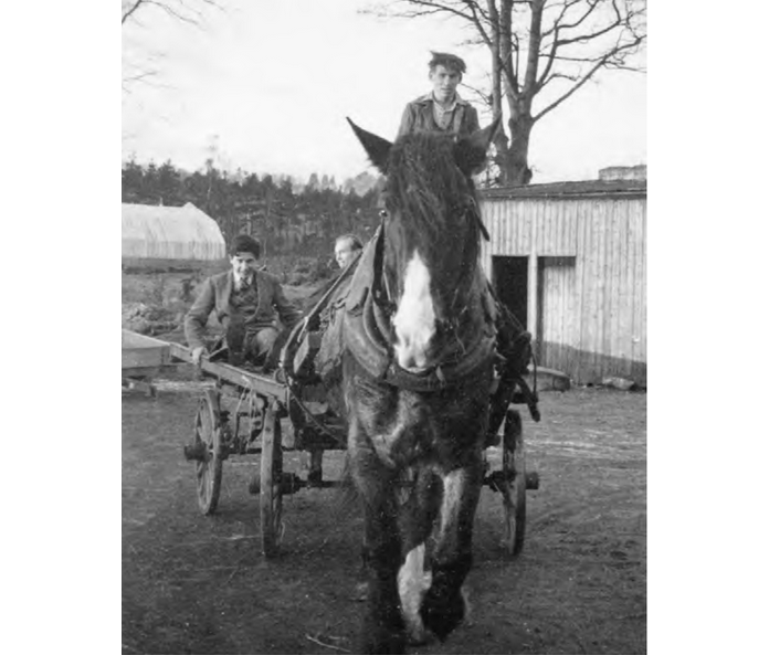 Applied Biodynamics — Issue 036 (Spring 2002)