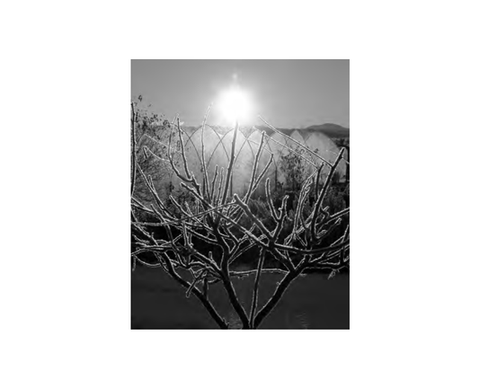 Featured archival image for Applied Biodynamics — Issue 039 (Winter 2002–2003)