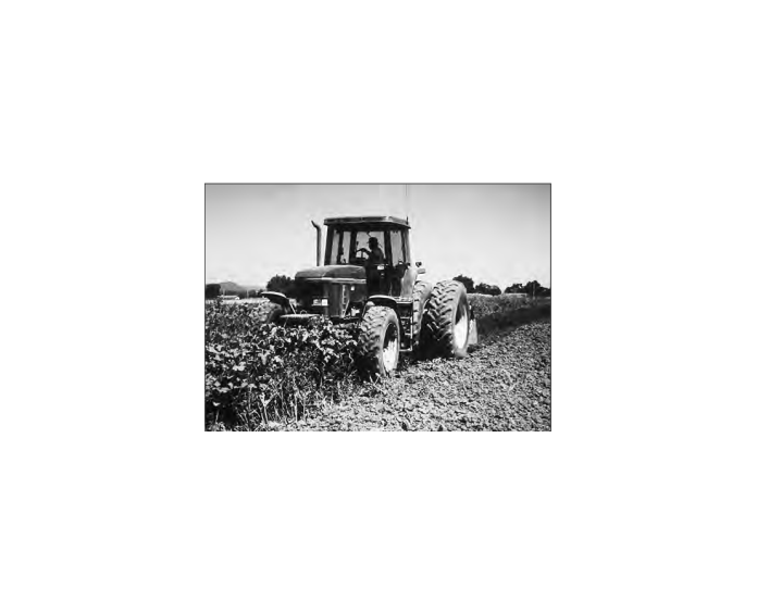Featured archival image for Applied Biodynamics — Issue 049 (Summer 2005)