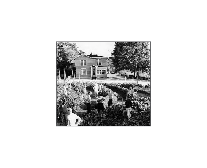 Applied Biodynamics — Issue 051 (Winter 2005–2006)