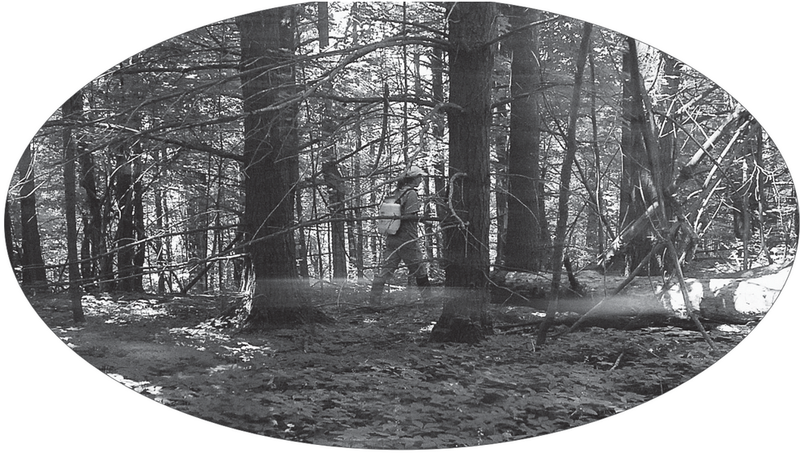 Applied Biodynamics — Issue 057 (Summer 2007)
