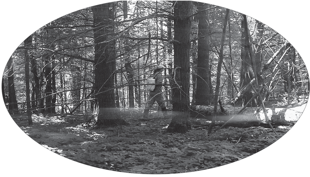 Featured archival image for Applied Biodynamics — Issue 057 (Summer 2007)