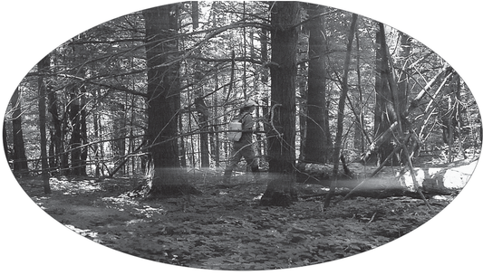 Featured archival image for Applied Biodynamics — Issue 057 (Summer 2007)