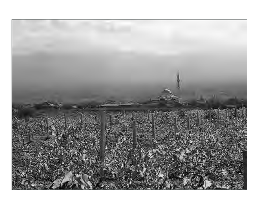 Featured archival image for Applied Biodynamics — Issue 058 (Fall 2007)