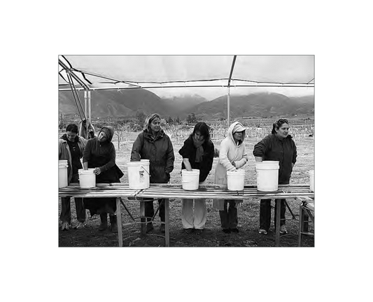 Featured archival image for Applied Biodynamics — Issue 060 (Spring 2008)