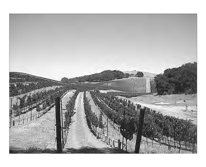 Featured archival image for Applied Biodynamics — Issue 066 (Fall 2009)