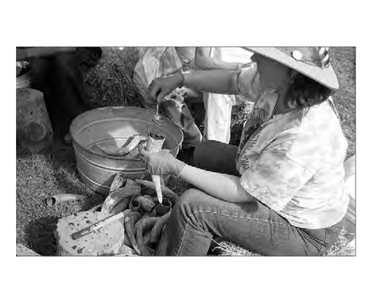 Featured archival image for Applied Biodynamics — Issue 070 (Autumn 2010)