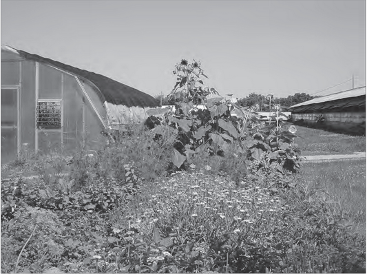 Featured archival image for Applied Biodynamics — Issue 072 (Spring 2011)