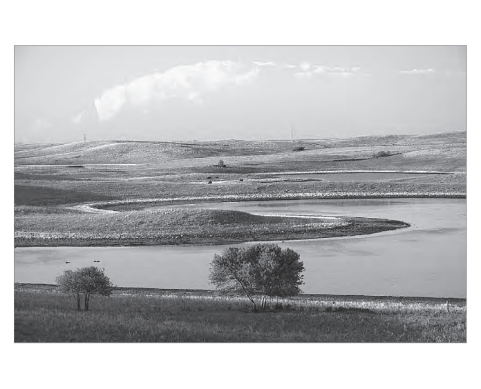 Featured archival image for Applied Biodynamics — Issue 073 (Summer 2011)
