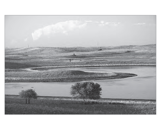 Featured archival image for Applied Biodynamics — Issue 073 (Summer 2011)