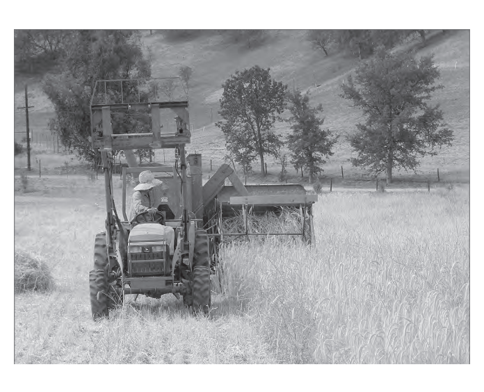 Featured archival image for Applied Biodynamics — Issue 079 (Winter 2012–2013)