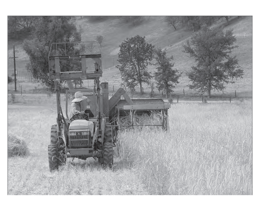 Featured archival image for Applied Biodynamics — Issue 079 (Winter 2012–2013)