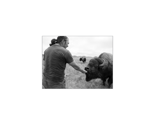 Featured archival image for Applied Biodynamics — Issue 081 (Summer 2013)