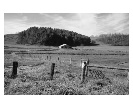 Featured archival image for Applied Biodynamics — Issue 082 (Autumn 2013)
