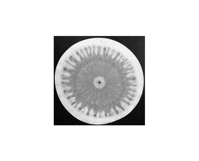 Featured archival image for Applied Biodynamics — Issue 087 (Spring/Summer 2015)