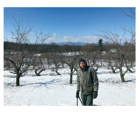 Featured archival image for Applied Biodynamics — Issue 095 (Spring/Summer 2019)