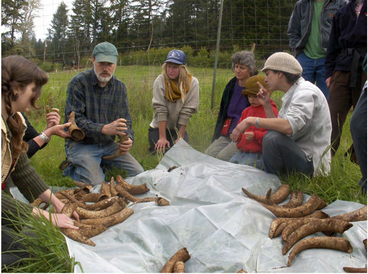 Featured archival image for Applied Biodynamics — Issue 096 (Fall/Winter 2019)