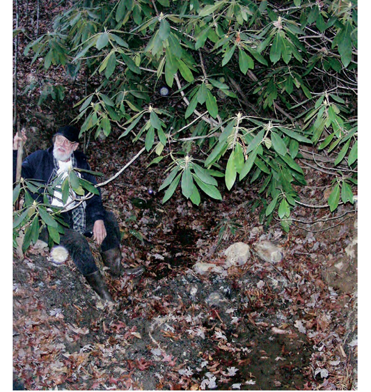 Featured archival image for Applied Biodynamics — Issue 098 (Fall/Winter 2020–2021)