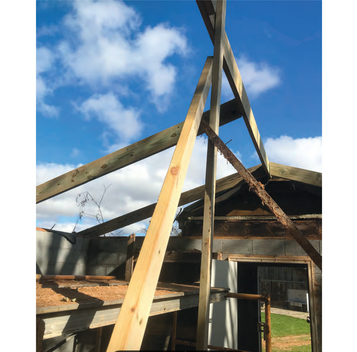 Featured archival image for Applied Biodynamics — Issue 099 (Spring 2021)
