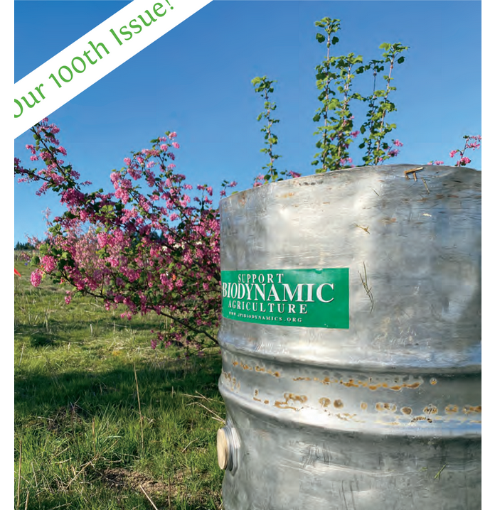 Featured archival image for Applied Biodynamics — Issue 100 (Summer 2021)