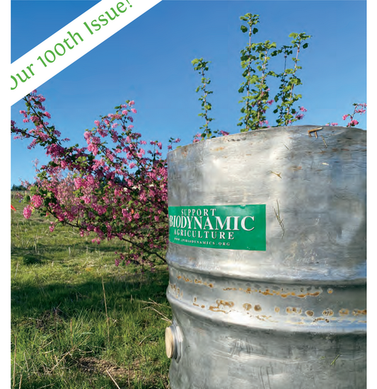 Featured archival image for Applied Biodynamics — Issue 100 (Summer 2021)