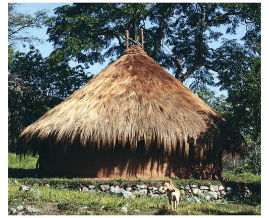 Featured archival image for Applied Biodynamics — Issue No. 107 (Spring 2023)
