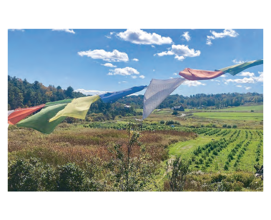 Featured archival image for Applied Biodynamics — Issue No. 108 (Summer 2023)
