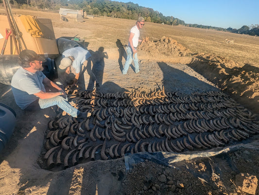 Participants arranging biodynamic preparation horns during JPI’s Fall 2024 workshop